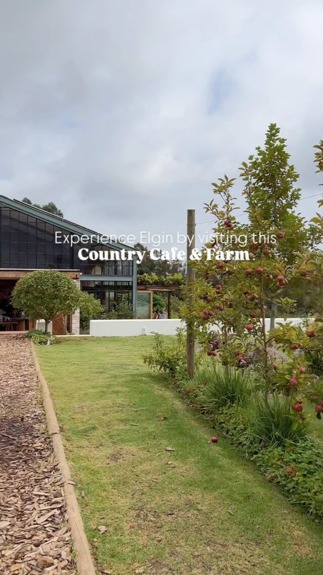 #experienceelgin at this stunning Apple Farm in Elgin 🫶🏽

We needed a break from our recent move in Cape Town & this was exactly the soul refreshing break we had in mind 🧘🏽‍♀️ 

The countryside cafe has wholesome food, delicious coffee & views of the stunning Elgin Valley. We of course supported local & bought some products at the gift shop 😌

This spot is perfect for a road trip or weekend away. We’d advise the latter 😉😋

✨ Like, Share, and Save! ✨ 

 🌍 Follow us, @offtwowander, for more travel adventures from twin sisters exploring Cape Town and beyond! 

🗺️ Don’t miss out on our latest travel tips, hidden gems, coffee shops, and stunning destinations. Tap that ❤️, share with friends, and save to your favourites!

✈️ Let’s wander together! 👯‍♀️

#offtwowander #offtwowanderelgin #twinsisters #travelblog
#twins #capetown #experienceelgin #cheverellsfarm #applefarm #roadtrip #cafe #coffee #countrycafe #amustvisitplace